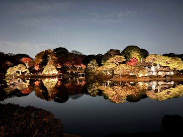 六義園に投稿された画像（2025/12/2）