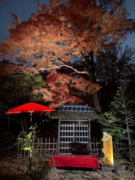 六義園に投稿された画像（2025/12/2）