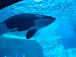 名古屋港水族館に投稿された画像（2025/12/3）