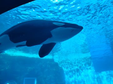 名古屋港水族館に投稿された画像（2025/12/2）