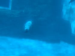 名古屋港水族館に投稿された画像（2025/12/2）