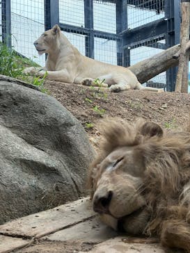 沖縄こどもの国に投稿された画像（2025/12/2）