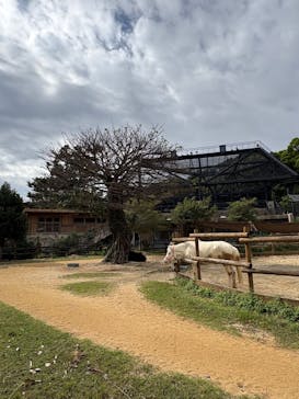 沖縄こどもの国に投稿された画像（2025/12/2）