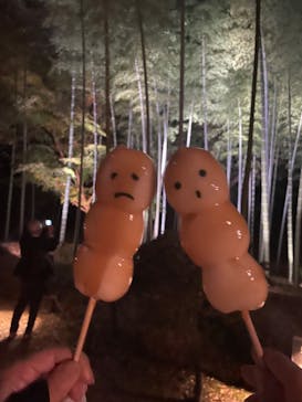 六義園に投稿された画像（2025/12/3）