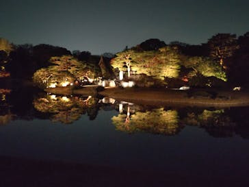 六義園に投稿された画像（2025/12/3）