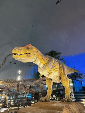 福井県立恐竜博物館に投稿された画像（2025/12/3）