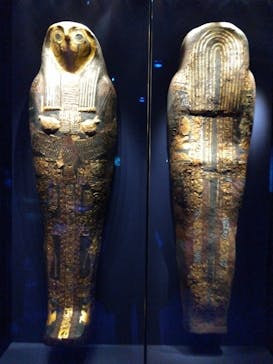 ACN ラムセス大王展 ファラオたちの黄金に投稿された画像（2025/12/3）