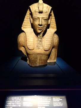 ACN ラムセス大王展 ファラオたちの黄金に投稿された画像（2025/12/3）