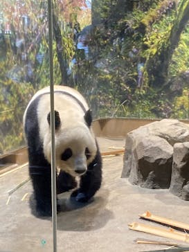 恩賜上野動物園に投稿された画像（2025/12/3）