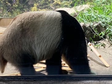 恩賜上野動物園に投稿された画像（2025/12/3）