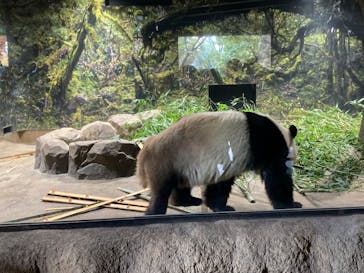 恩賜上野動物園に投稿された画像（2025/12/3）