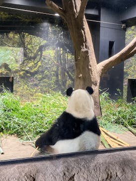 恩賜上野動物園に投稿された画像（2025/12/3）