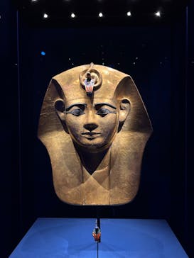 ACN ラムセス大王展 ファラオたちの黄金に投稿された画像（2025/12/3）