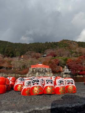 勝尾寺に投稿された画像（2025/12/3）