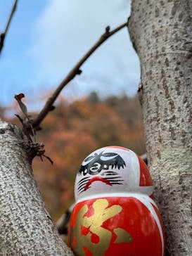 勝尾寺に投稿された画像（2025/12/3）