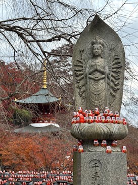 勝尾寺に投稿された画像（2025/12/3）