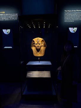 CREVIA マチュピチュ展／CREVIA MACHU PICCHU AND THE GOLDEN EMPIRES OF PERUに投稿された画像（2025/12/3）