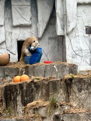 名古屋市東山動植物園に投稿された画像（2025/12/3）