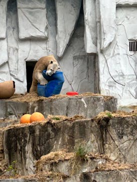 名古屋市東山動植物園に投稿された画像（2025/12/3）