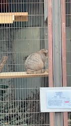 名古屋市東山動植物園に投稿された画像（2025/12/3）