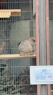 名古屋市東山動植物園に投稿された画像（2025/12/3）