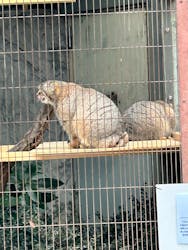 名古屋市東山動植物園に投稿された画像（2025/12/3）