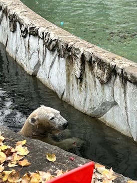 名古屋市東山動植物園に投稿された画像（2025/12/3）