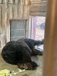 名古屋市東山動植物園に投稿された画像（2025/12/3）