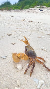 ファイブオーシャンに投稿された画像（2025/12/1）