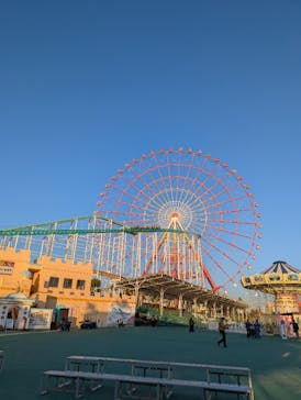 グリーンランドに投稿された画像（2025/12/3）