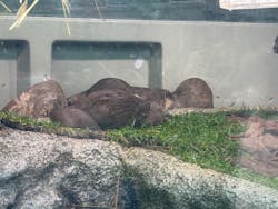 サンシャイン水族館に投稿された画像（2025/12/3）