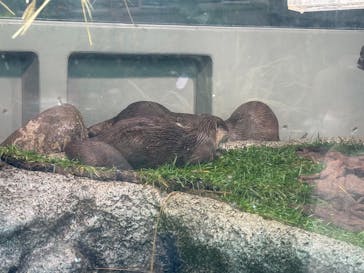 サンシャイン水族館に投稿された画像（2025/12/3）