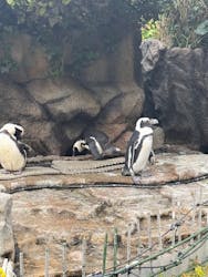 サンシャイン水族館に投稿された画像（2025/12/3）