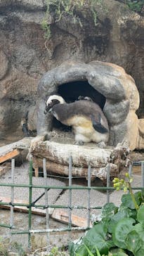 サンシャイン水族館に投稿された画像（2025/12/3）