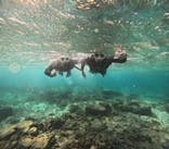 青の洞窟専門店　沖縄ダイビングショップ和に投稿された画像（2025/12/3）