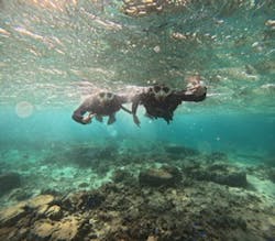 青の洞窟専門店　沖縄ダイビングショップ和に投稿された画像（2025/12/3）