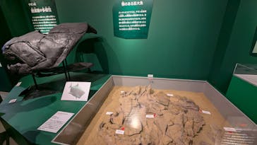 特別展「大絶滅展―生命史のビッグファイブ」に投稿された画像（2025/12/3）