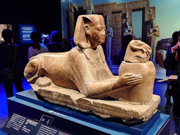 ACN ラムセス大王展 ファラオたちの黄金に投稿された画像（2025/12/3）