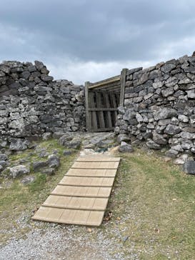 今帰仁城跡に投稿された画像（2025/12/3）