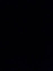 世界の名犬牧場に投稿された画像（2025/12/3）