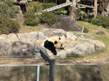 恩賜上野動物園に投稿された画像（2025/12/3）