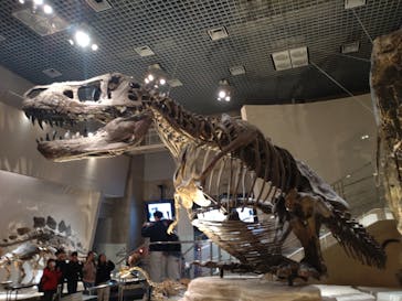 国立科学博物館に投稿された画像（2025/12/3）