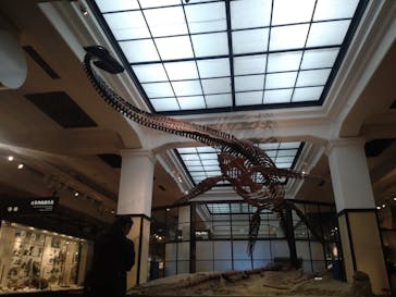 国立科学博物館に投稿された画像（2025/12/3）