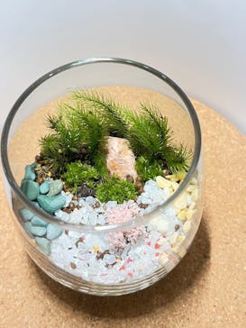 Golden Road ATAMI（ゴールデンロードアタミ）に投稿された画像（2025/12/3）