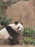 恩賜上野動物園に投稿された画像（2025/12/3）