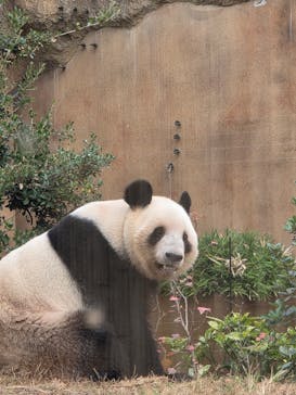 恩賜上野動物園に投稿された画像（2025/12/3）