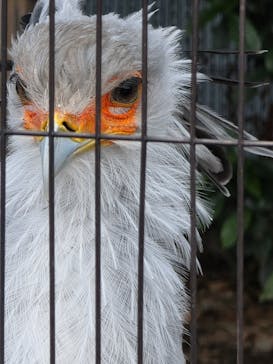 恩賜上野動物園に投稿された画像（2025/12/3）
