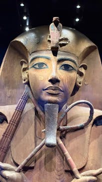 ACN ラムセス大王展 ファラオたちの黄金に投稿された画像（2025/12/3）