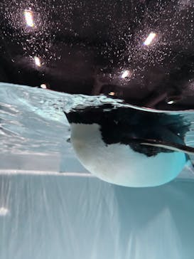 AOAO SAPPOROに投稿された画像（2025/12/3）