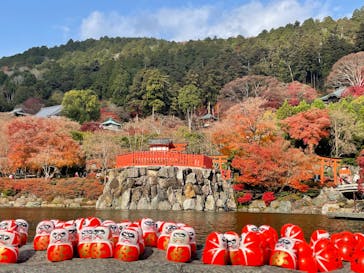 勝尾寺に投稿された画像（2025/12/3）